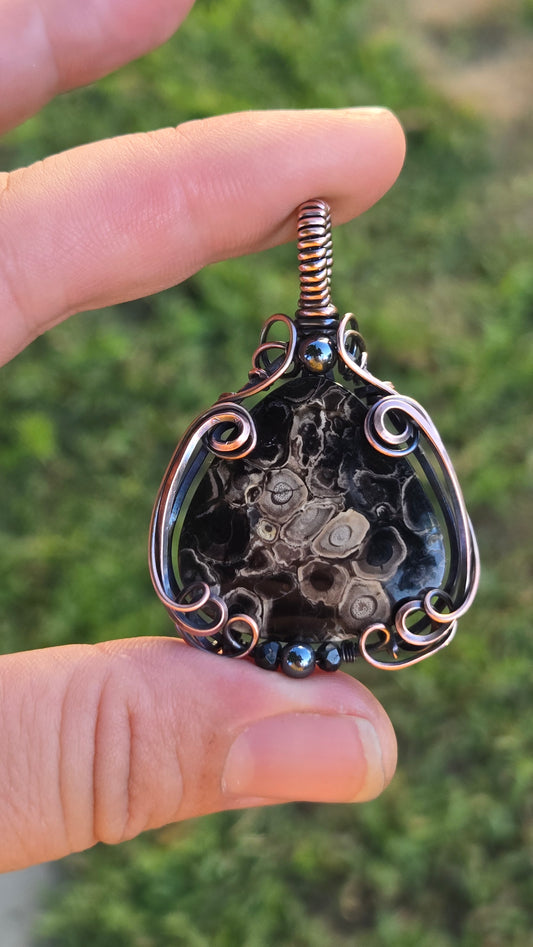 Eye of Palm Root Wire Wrapped Pendant