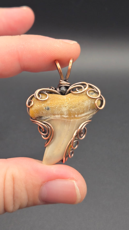 Shark Tooth Wire Wrapped Pendant