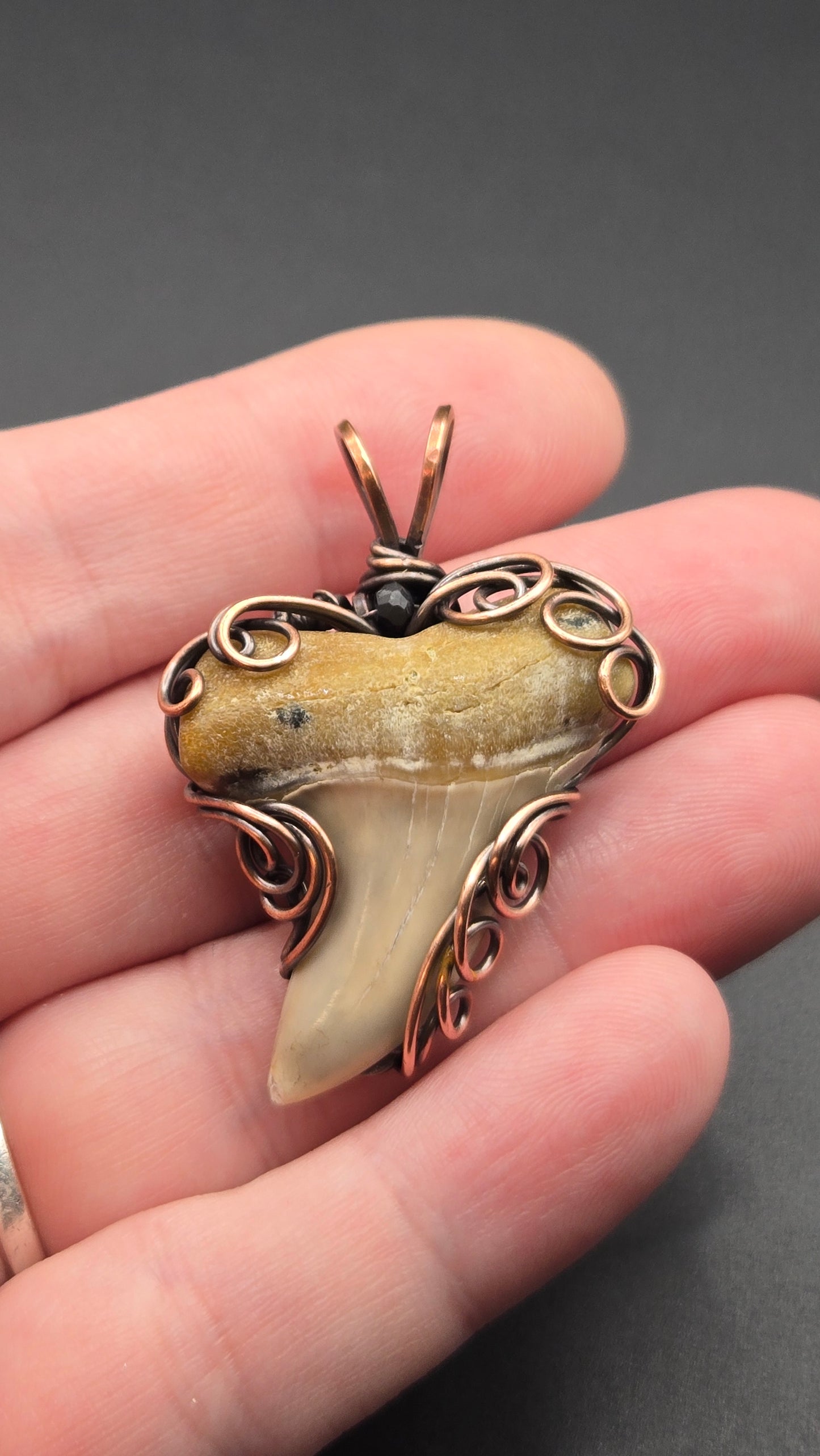 Shark Tooth Wire Wrapped Pendant
