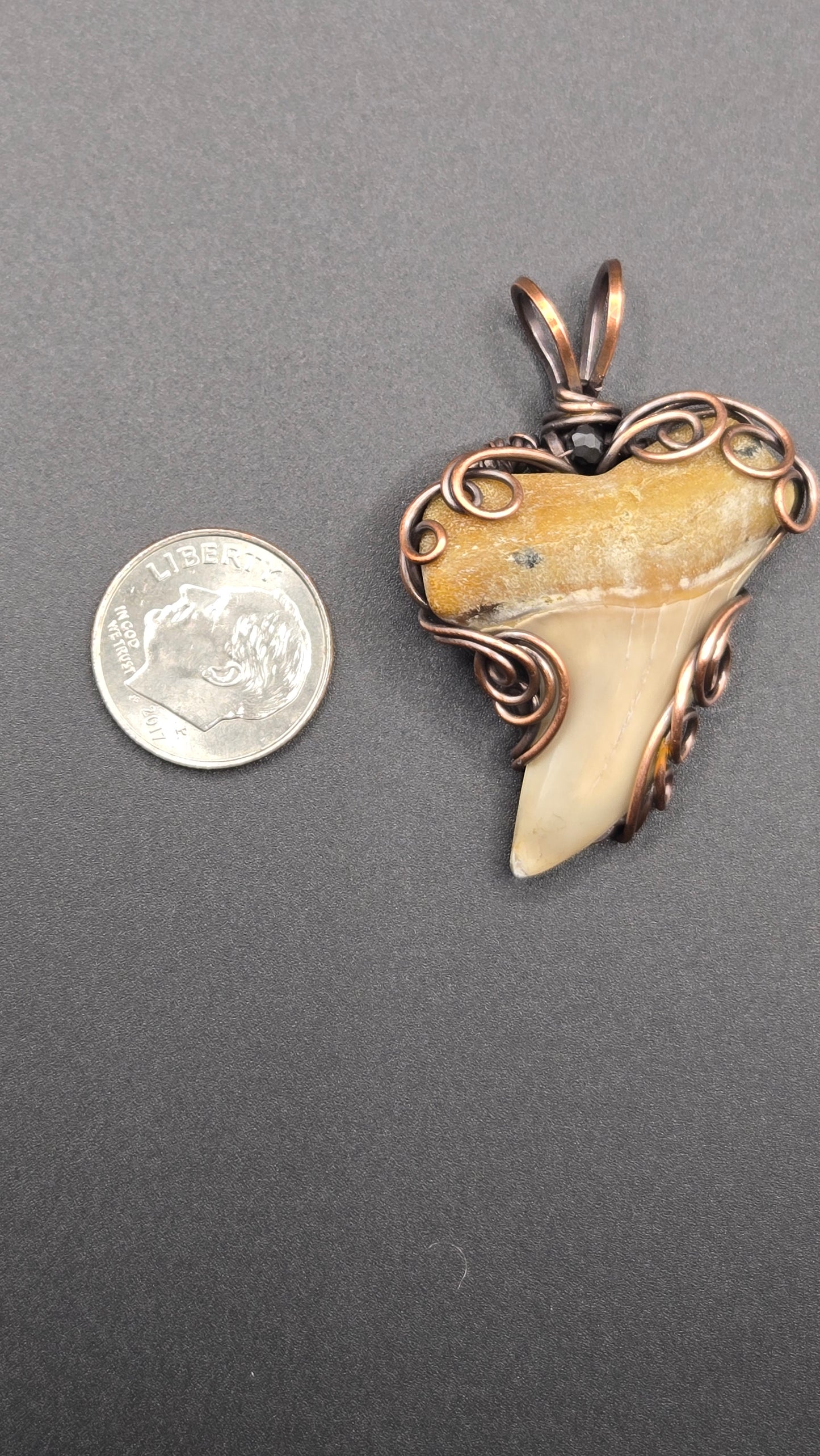Shark Tooth Wire Wrapped Pendant