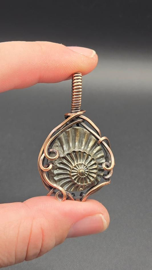 Pyritized Ammonite Wire Wrapped Pendant