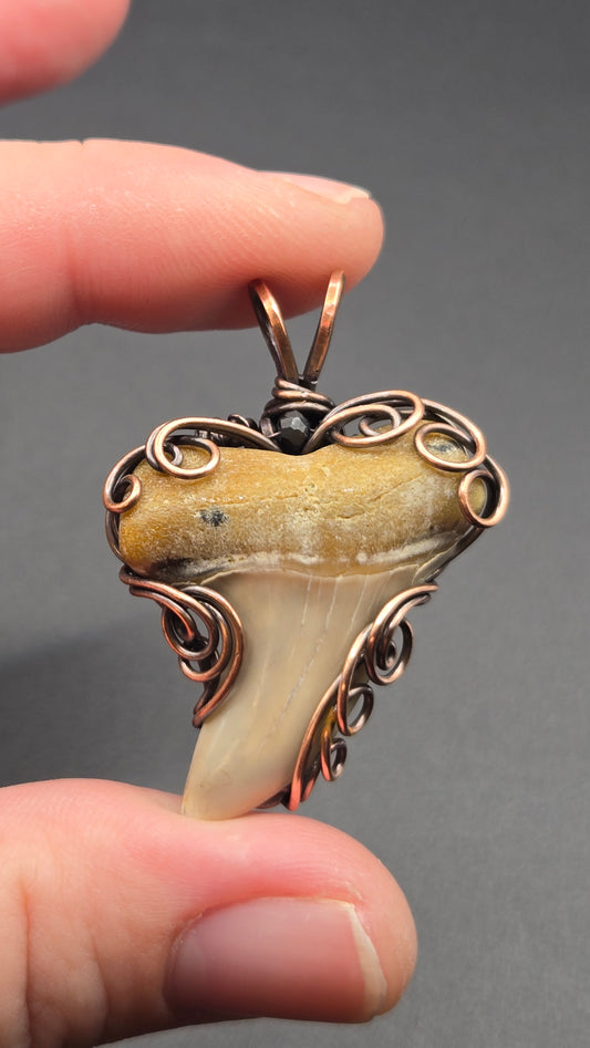 Shark Tooth Wire Wrapped Pendant