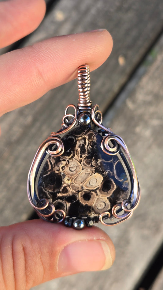 Eye of Palm Root Wire Wrapped Pendant