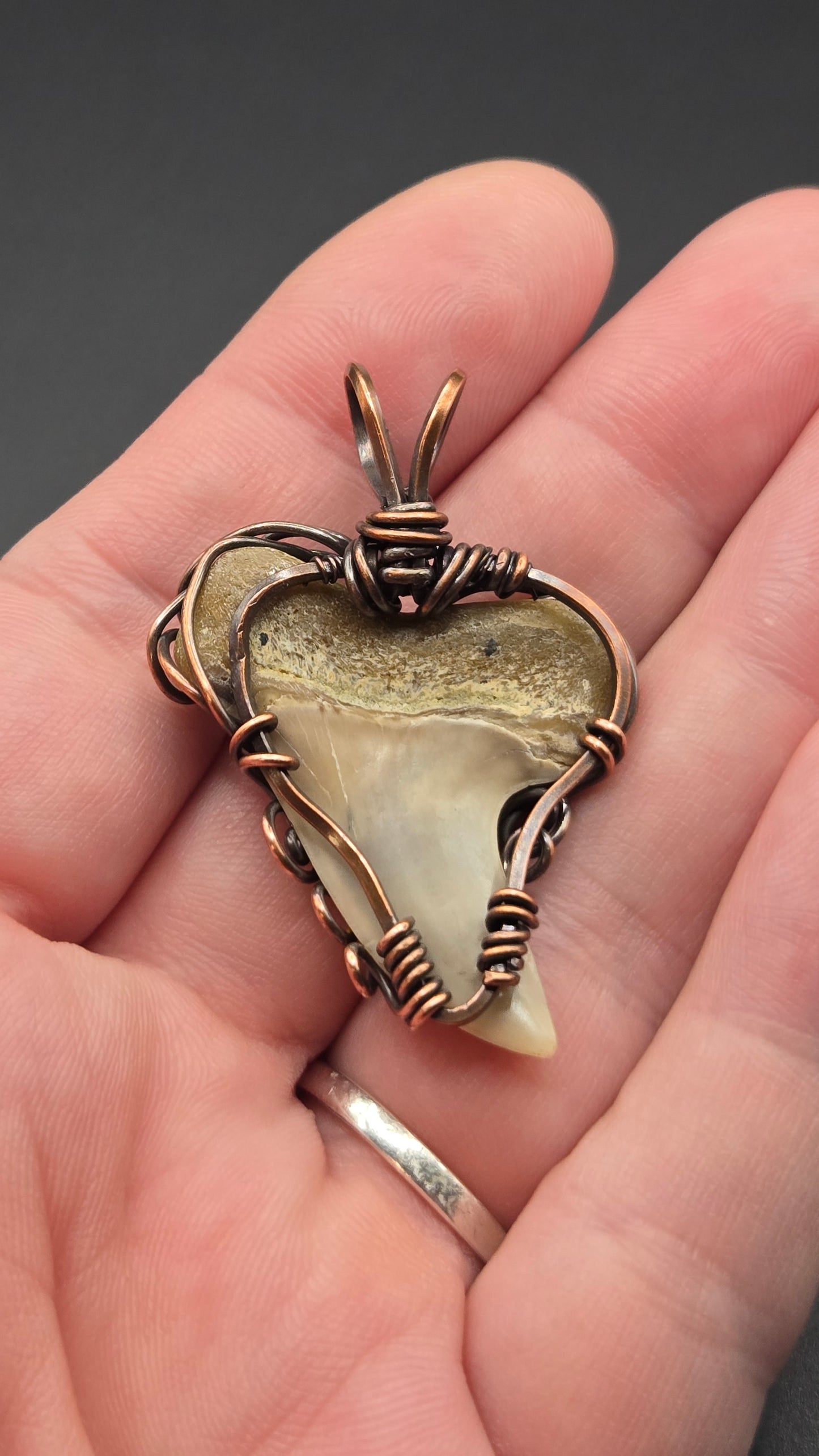 Shark Tooth Wire Wrapped Pendant